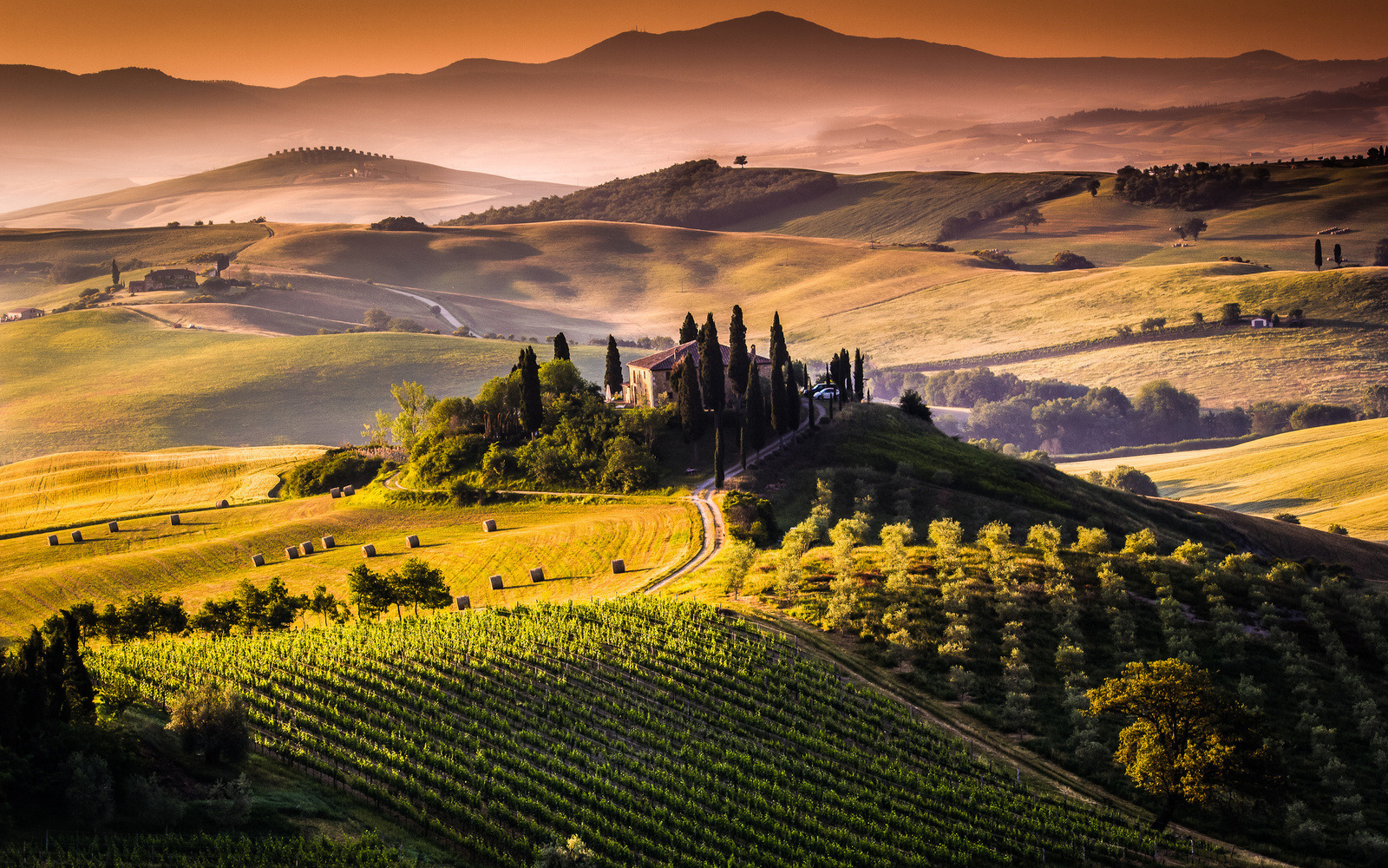 Chianti hills Tuscany private transfer Florence to Siena