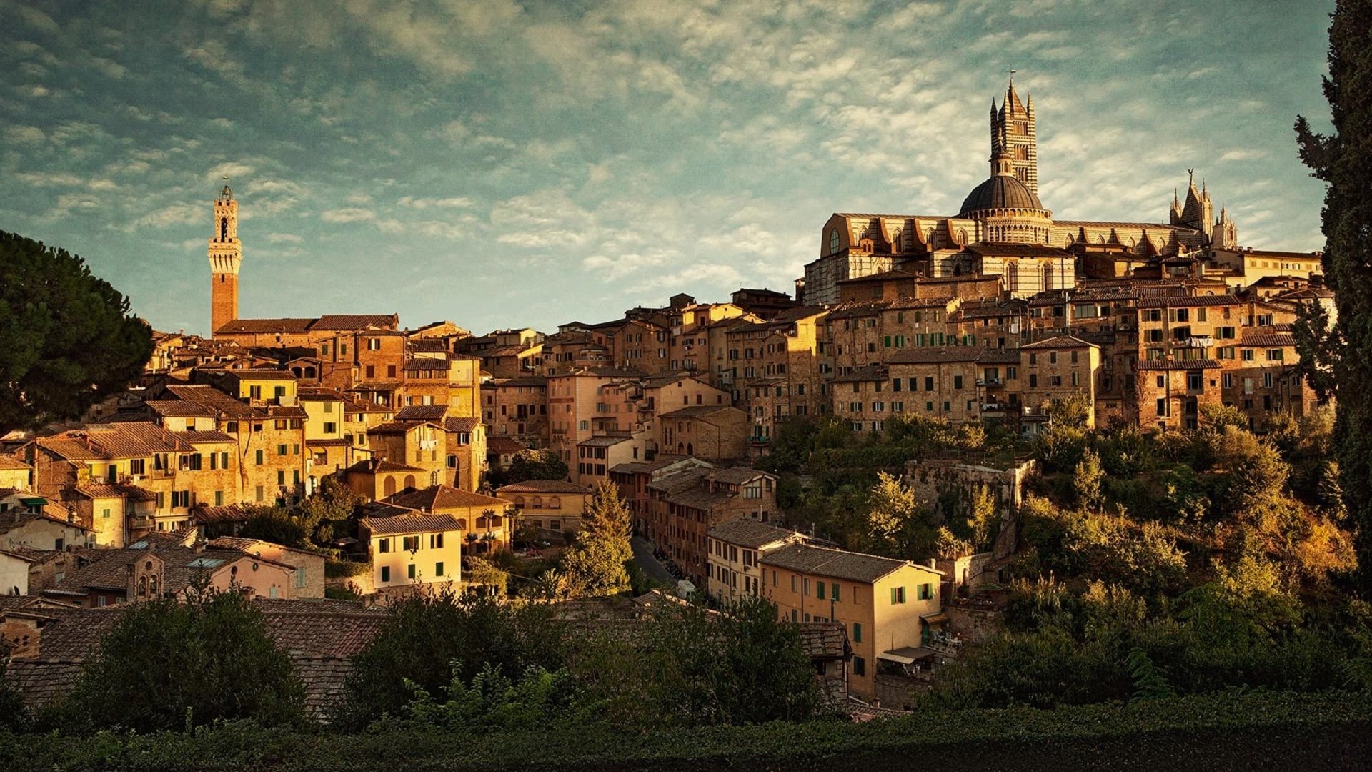 Panoramic view of Siena during a private tour in Tuscany